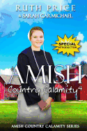 AN Amish Country Calamity 4