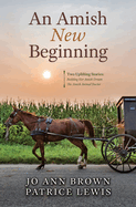 An Amish New Beginning