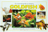 An Essential Guide to Keeping Goldfish