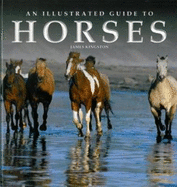 An Illustrated Guide to Horses - Kingston, James