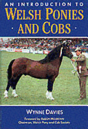 An Introduction to Welsh Ponies & Cob