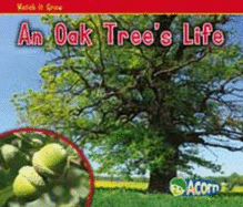 An Oak Tree's Life