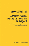 Analyse de Petit Pays pour le Bac de fran?ais: Analyse des passages cl?s du roman de Ga?l Faye