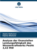 Analyse der finanziellen Leistungsfhigkeit des Wasserkraftwerks Peshk 3,43 MW