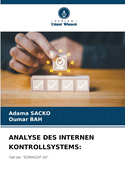 Analyse Des Internen Kontrollsystems