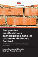 Analyse des manifestations pathologiques dans les btiments de Rodeio Bonito-R