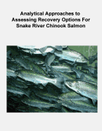 Analytical Approaches to Assessing Recovery Options for Snake River Chinook Salmon - Interior, U S Department of the (Contributions by), and Service, Fish And Wildlife (Contributions by), and Budy, Phaedra