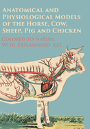 Anatomical and Physiological Models of the Horse, Cow, Sheep, Pig and Chicken - Colored to Nature - With Explanatory Key