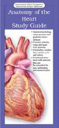 Anatomical Chart Company's Illustrated Pocket Anatomy: Anatomy of the Heart Study Guide