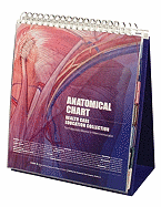 Anatomical Chart Healthcare Education Collection: The Professional's Reference for Patient Communication