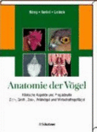 Anatomie Der Vgel - Hrsg. V. Horst E. Knig, R?diger Korbel U. Hans-Georg Liebich; Knig, Horst E.; Korbel, R?diger; Liebich, Hans-Georg
