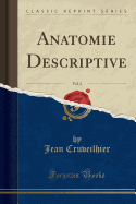 Anatomie Descriptive, Vol. 2 (Classic Reprint)