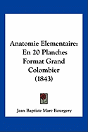 Anatomie Elementaire: En 20 Planches Format Grand Colombier (1843)