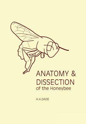 Anatomy and Dissection of the Honeybee - Dade, H a