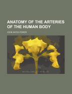 Anatomy of the Arteries of the Human Body