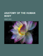 Anatomy of the human body