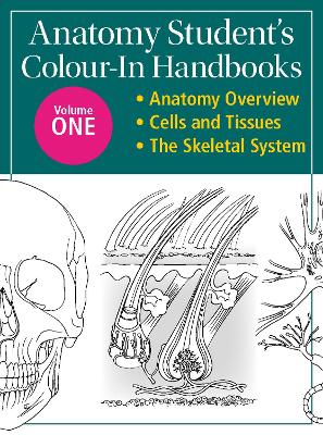 Anatomy Student's Colour-In Handbooks: Volume Two: The Muscular System; The Digestive System - Ashwell, Ken, Prof.