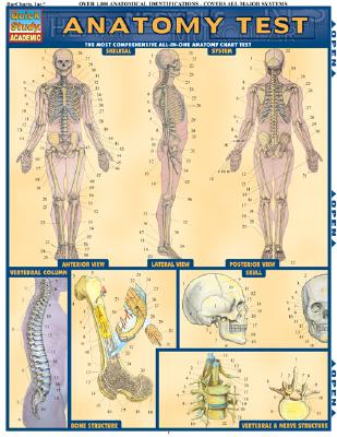 Anatomy Test - Perez, Vincent