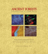 Ancient Forests: A Closer Look at Fossil Wood - Daniels, Frank J
