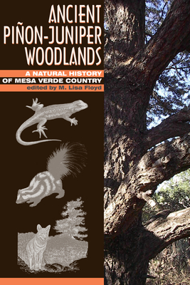 Ancient Pion-Juniper Woodlands: A Natural History of Mesa Verde Country - Floyd, Lisa M (Editor), and Hanna, David D (Editor), and Romme, William H (Editor)