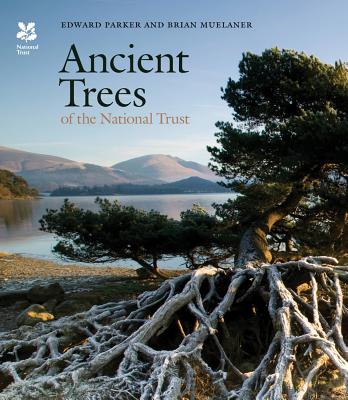 Ancient Trees of the National Trust - Parker, Edward, and Muelaner, Brian