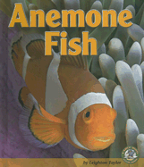 Anemone Fish