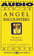 Angel Encounters: True Stories of Divine Intervention Cassette - Goldman, Karen, and Plunkett, Maryann (Read by)