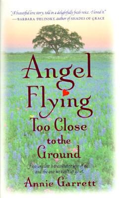 Angel Flying Too Close to the Ground - Garrett, Annie