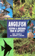 Angelfish (Oop)