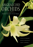 Angraecoid Orchids: Species from the African Region