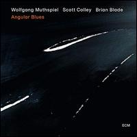 Angular Blues - Wolfgang Muthspiel/Scott Colley/Brian Blade