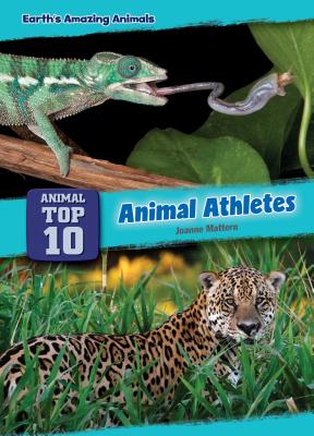 Animal Athletes - Mattern, Joanne