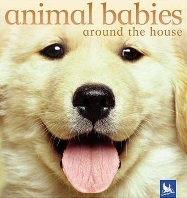 Animal Babies Around the House - Kingfisher Books