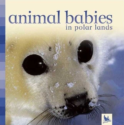 Animal Babies in Polar Lands - Kingfisher Books