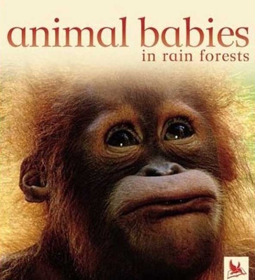 Animal Babies in Rain Forests - Kingfisher Books