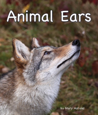 Animal Ears - Holland, Mary