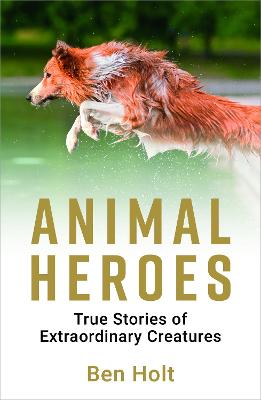 Animal Heroes: True Stories of Extraordinary Creatures - Holt, Ben