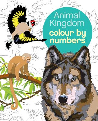 Animal Kingdom Colour by Numbers - Sanders, Martin, and Olbey, Arpad