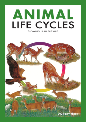 Animal Life Cycles: Discovering How Animals Live in the Wild - Hare, Tony
