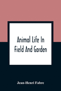 Animal Life In Field And Garden