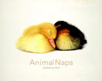 Animal Naps - Ham, Catherine