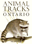 Animal Tracks of Ontario