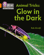 Animal Tricks: Glow in the Dark: Band 06/Orange
