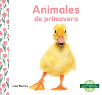 Animales de Primavera (Spring Animals)