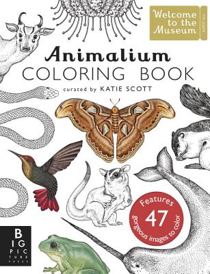 Animalium Coloring Book - Broom, Jenny