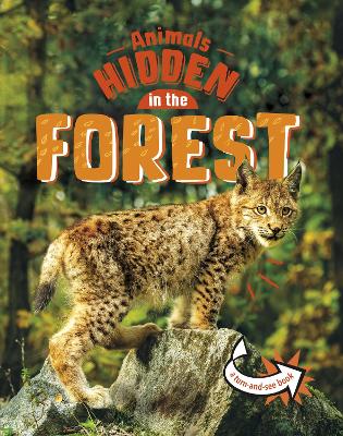Animals Hidden in the Forest - Rusick, Jessica