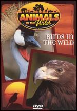 Animals in the Wild: Birds in the Wild