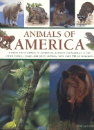 Animals of America: A Visual Encyclopedia of Amphibians, Reptiles and Mammals of the United States, Canada and South America.