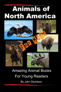 Animals of North America For Kids