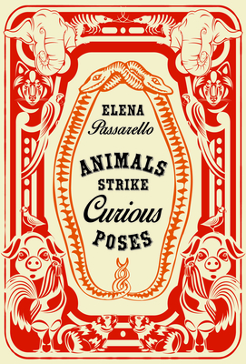 Animals Strike Curious Poses - Passarello, Elena